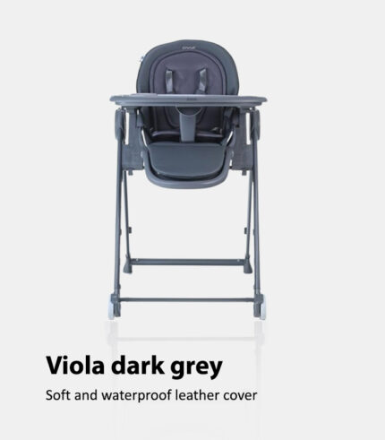 Viola dark grey